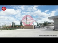 O żywności z pomidorów czerwonych